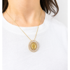 CF315E80-32BB-4C48-BB25-5F07024AF6F7 The Miraculous Necklace